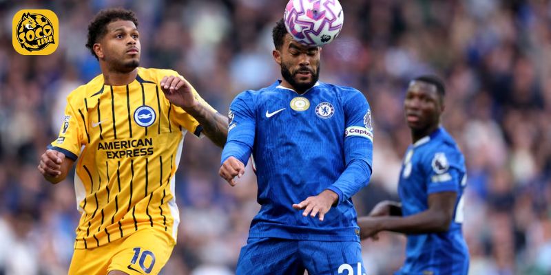 Phong độ của Chelsea vs Brighton trước thềm đại chiến